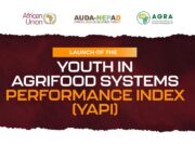 African Union and partners launch new continental index to measure youth empowerment in Africa’s Agrifood systems