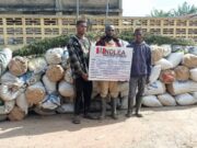 NDLEA intercepts US, UK, DRC-bound illicit drug in frozen snails, electrical bulbs