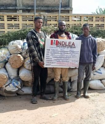 NDLEA intercepts US, UK, DRC-bound illicit drug in frozen snails, electrical bulbs