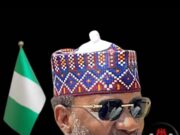 Northern coalition asks DIA,IGP to investigate Marafa over alleged bandit links