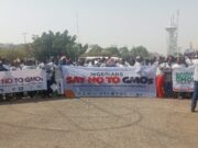 Protesters in Abuja urge FG to ban GMOs, implement Reps’ 2024 resolution