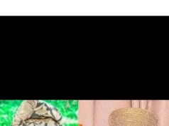 Ogbori Elemoso’s remake: Soun faults Lere Paimo, dismisses copyrights infringement claim