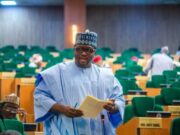 Constitutional Fraud – Nigerians React as Rep Dasuki Accuses Govt of Altering New Tax Laws