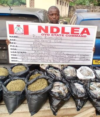 80-year-old ex-convict arrested as NDLEA uncovers illicit drugs in body mannequins