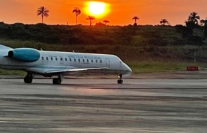 Another Bird Strike Disrupts United Nigeria Airlines’ Flight