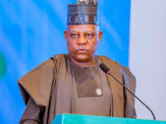 Shettima To Chair National Economic Council On Monday