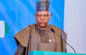 Shettima To Chair National Economic Council On Monday