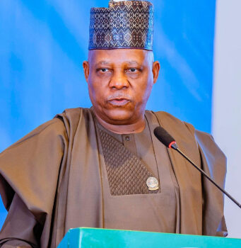 Shettima To Chair National Economic Council On Monday