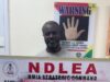 NDLEA nabs wanted drug kingpin after 13 years over cocaine, heroin shipments