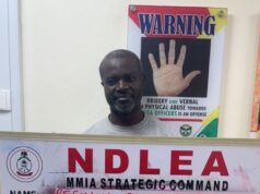 NDLEA nabs wanted drug kingpin after 13 years over cocaine, heroin shipments