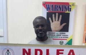 NDLEA nabs wanted drug kingpin after 13 years over cocaine, heroin shipments