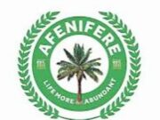 Electoral Act: Afenifere decries shielding candidates with fake certificates