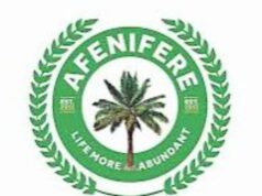 Electoral Act: Afenifere decries shielding candidates with fake certificates