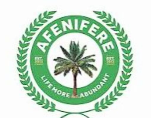 Electoral Act: Afenifere decries shielding candidates with fake certificates