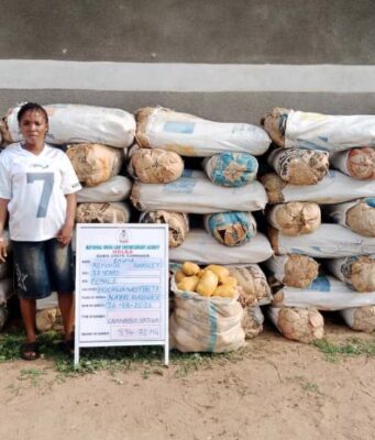 NDLEA intercepts cocaine consignment in stock fish