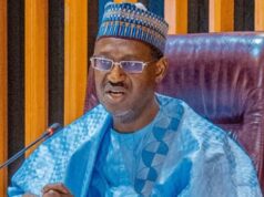 Group blames Ibrahim Masari for Dangiwa’s exit