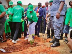 Customs Officers’ Wives begin nationwide 1,000-tree campaign