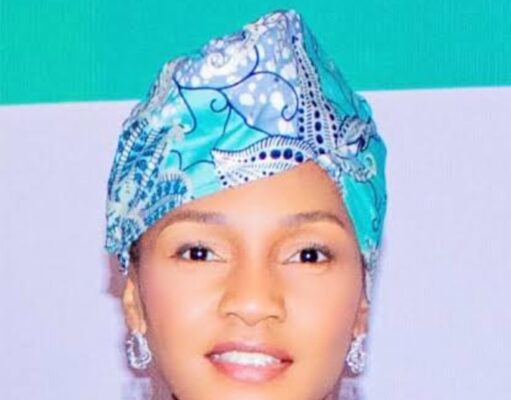 FG suspends introduction of new policies pending full adoption of regulatory impact analysis framework