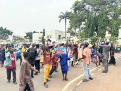 2027: Coalition asks ex-President Jonathan to contest