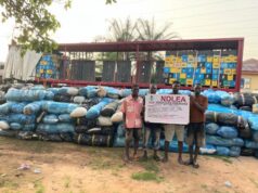 93-year-old great grandpa, medical doctor arrested over cocaine, skunk trafficking