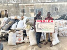 11 drug lords bag 254 years in prison as NDLEA secures 974 convictions in 3 months