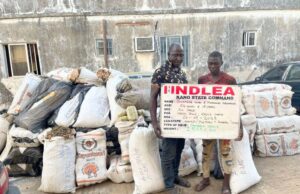 11 drug lords bag 254 years in prison as NDLEA secures 974 convictions in 3 months