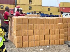 NDLEA secures forfeiture of N33.6bn worth opioids intercepted at Onne Port
