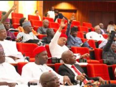 Insecurity: Senate seeks campaign suspension in eight northern states