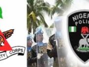 Court strips Police, FRSC of power to fine motorists for third-party insurance