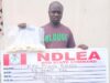 NDLEA intercepts terror drug ‘captagon’ in Kwara as bizman excretes 45 cocaine wraps
