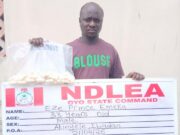 NDLEA intercepts terror drug ‘captagon’ in Kwara as bizman excretes 45 cocaine wraps