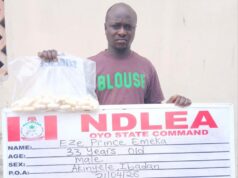 NDLEA intercepts terror drug ‘captagon’ in Kwara as bizman excretes 45 cocaine wraps