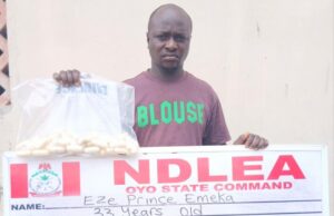NDLEA intercepts terror drug ‘captagon’ in Kwara as bizman excretes 45 cocaine wraps