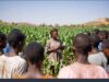 Closing Nigeria’s extension gap through market-led solutions: The AGRA-led Kaduna consortium story