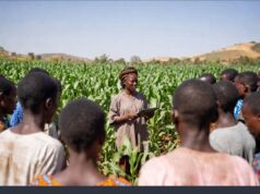 Closing Nigeria’s extension gap through market-led solutions: The AGRA-led Kaduna consortium story
