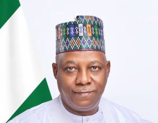 VP Shettima urges unity, shared sacrifice as Nigerians mark Eid-el-Kabir