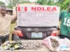 NDLEA arrests 83-year, 78-year grandpas for drug trafficking in Abia, Ekiti