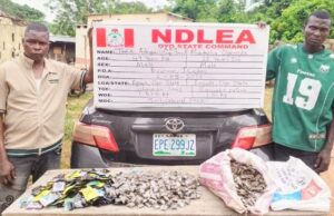 NDLEA arrests 83-year, 78-year grandpas for drug trafficking in Abia, Ekiti
