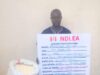 NDLEA intercepts UK, Australia-bound cocaine, opioid consignments in carton walls