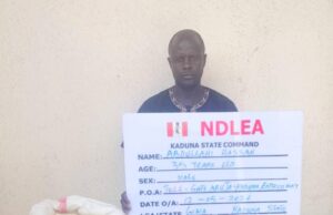 NDLEA intercepts UK, Australia-bound cocaine, opioid consignments in carton walls