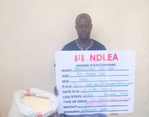 NDLEA intercepts UK, Australia-bound cocaine, opioid consignments in carton walls