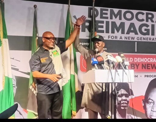 ADC convention: Dumebi Kachikwu accepts presidential ticket, promises issue-based campaign