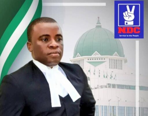 Unauthorized publication: Onyeneke disowns viral NDC notice
