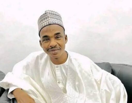 Only me understand Adamawa people’s suffering — Girei