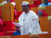 Opeyemi Bamidele proposes single six-year tenure for president, governors