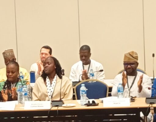 Next Gen for Reform: W/African youths commit to advancing sub-regional democracy