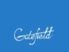 Nigeria’s underinvestment in childhood devt, jeopardizing future economic growth -Gatefield