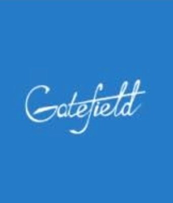 Nigeria’s underinvestment in childhood devt, jeopardizing future economic growth -Gatefield