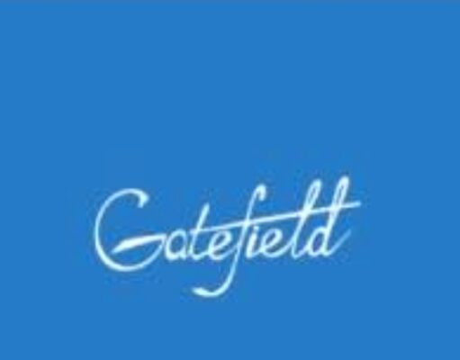 Nigeria’s underinvestment in childhood devt, jeopardizing future economic growth -Gatefield