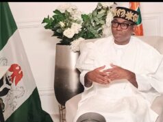 Why Nigeria yet to attain true democracy -Adebayo